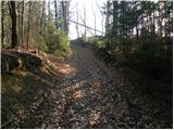 Jelševica - Črni vrh (Čemšeniška planina)